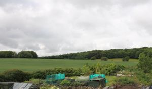 Photo 8- click for photo gallery